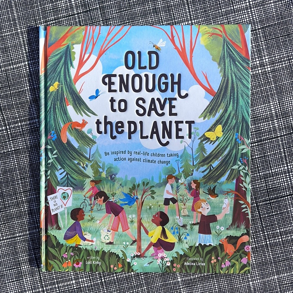 Old Enough to Save the Planet (Changemakers) Hardcover Book Abrams